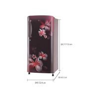 lg-190-l-direct-cool-single-door-5-star-2019-bee-rating-refrigerator-scarlet-plumeria-gl-b201aspy