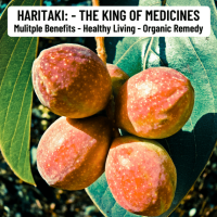organic-haritaki-powder-300gm