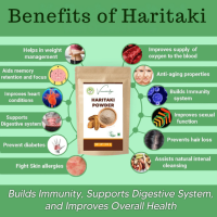 organic-haritaki-powder-300gm