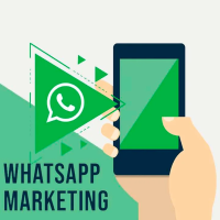 whatsapp-marketing-software-training