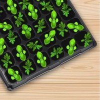 plant-container-set-pack-of-2-plastic