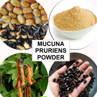 healthy-nervous-system-mucuna-pruriens-naikkorana