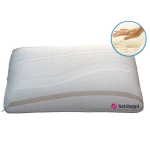 Plush Memory Foam Pillow