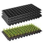 Plant Container Set  (Pack of 2, Plastic)