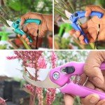 Garden Pruner | Garden Scissor (Blue)