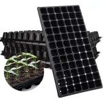 Plant Container Set  (Pack of 2, Plastic)