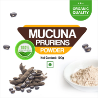 Healthy Nervous System (Mucuna Pruriens / Naikkorana)